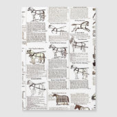 Horse Antique Advertising Newspaper Art (Front)