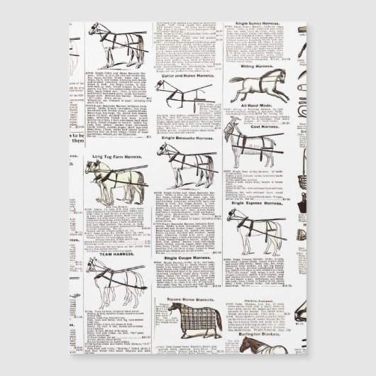 Horse Antique Advertising Newspaper Art (Front)