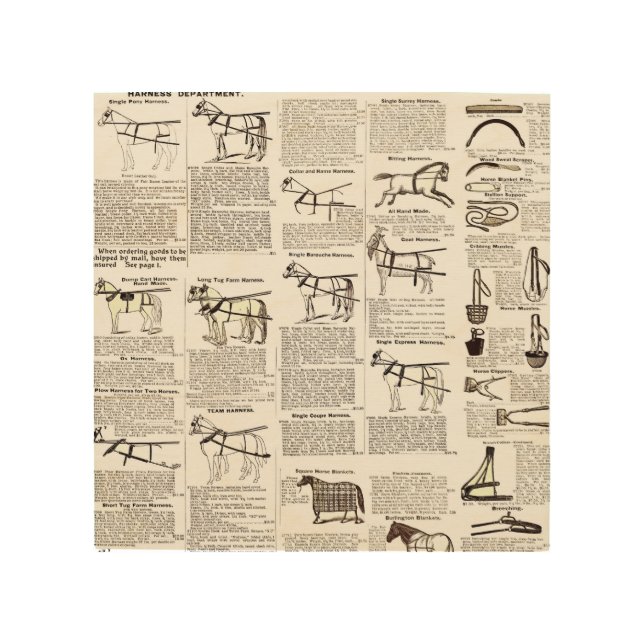 Horse Antique Advertising Newspaper Art (Front)