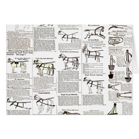 Horse Antique Advertising Newspaper Art (Front Horizontal)