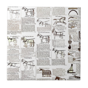 Horse Antique Advertising Newspaper Art Ceramic Tile