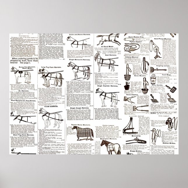 Horse Antique Advertising Newspaper Art Poster (Front)