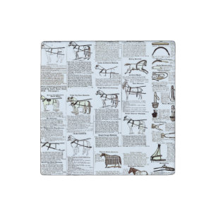 Horse Antique Advertising Newspaper Art Stone Magnet