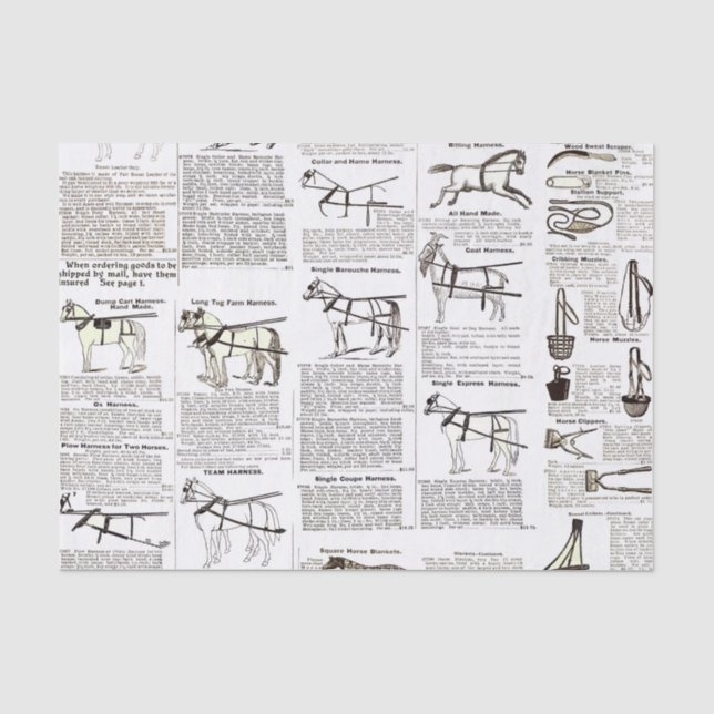 Horse Antique Advertising Newspaper Art Tissue Paper (Front)