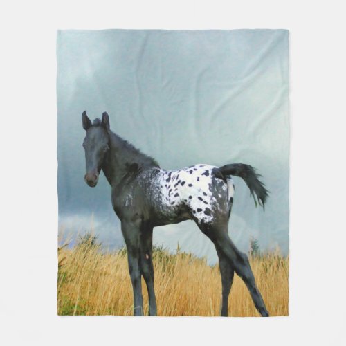 Horse _ Appaloosa Colt Fleece Blanket