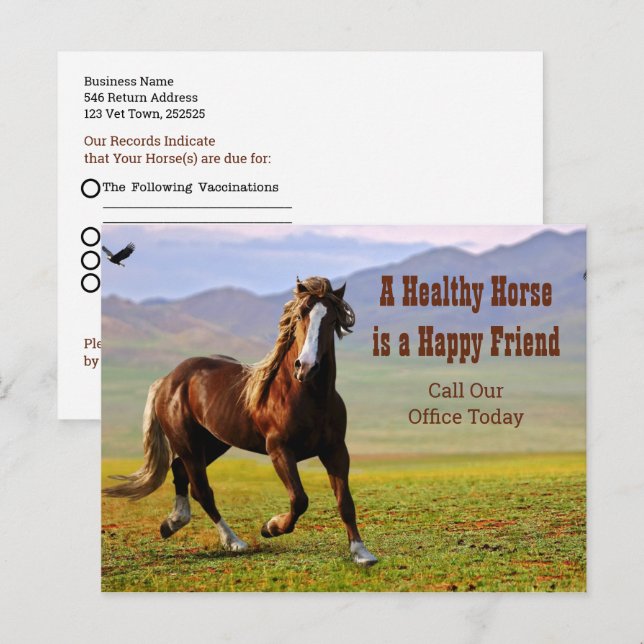 Horse Appointment Reminder for Veterinarian Postca Postcard (Front/Back)