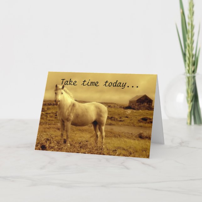 Horse Around Birthday Card (Front)