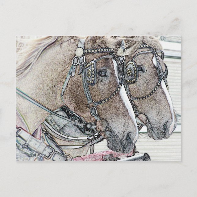 Horse Art 2010 2 Postcard (Front)