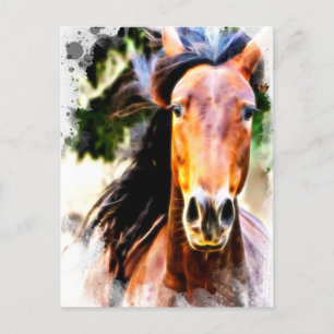 *~* Horse Artistic Equine AR22 Artsy Print Postcard