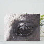 Horse Artists  Display works (Standing Front)