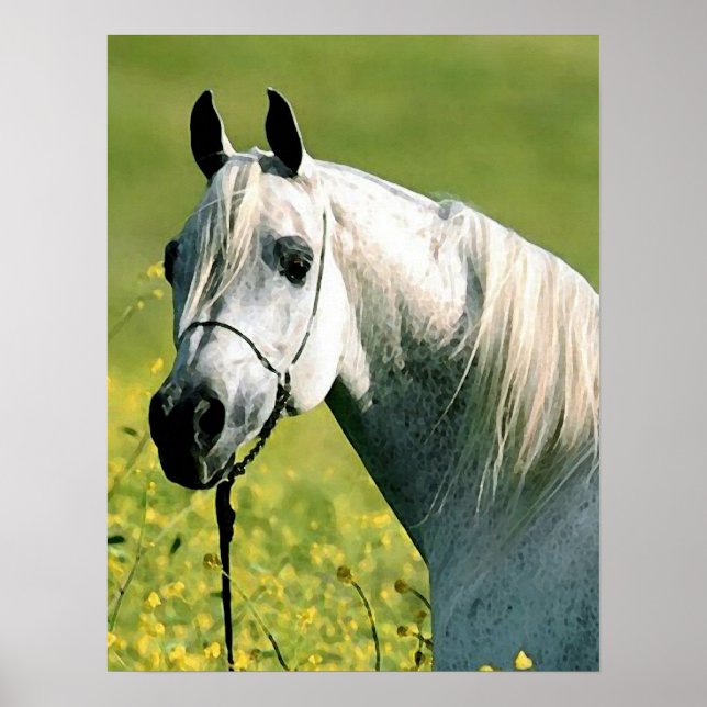 Horse Artwork Poster (Front)