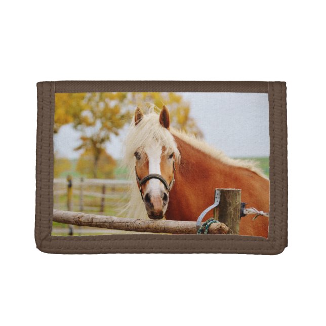Horse At Gate Trifold Wallet (Front)
