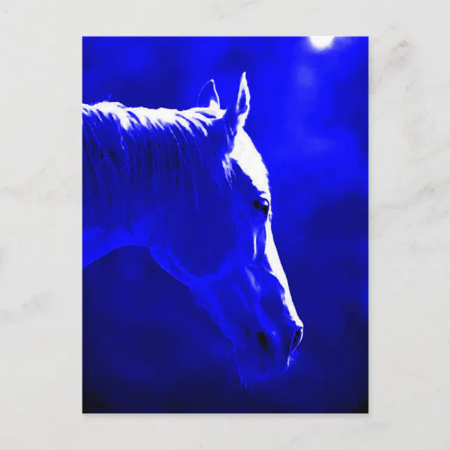 Horse At Night Horse In Moonlight Postcard Zazzle