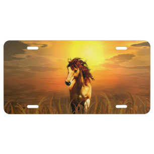 Horse at sunrise license plate