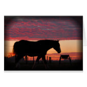Horse at sunset (Front Horizontal)