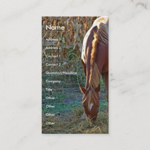 Horse at Sunset Business Cards