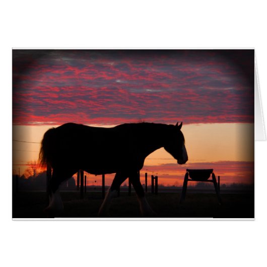 Horse at sunset cards (Front Horizontal)