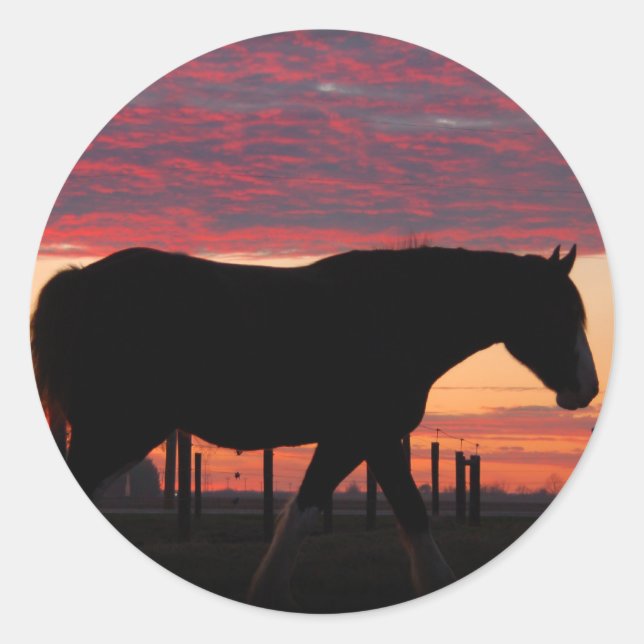 Horse at sunset classic round sticker (Front)