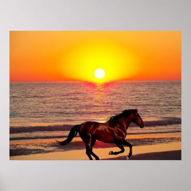 Horse at Sunset Poster (Front)
