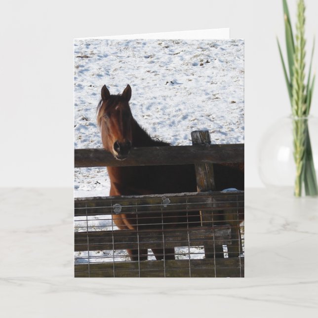 Horse at the Fence Card (Front)