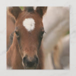 Horse Baby Invitation