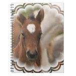 Horse Baby  Notebook