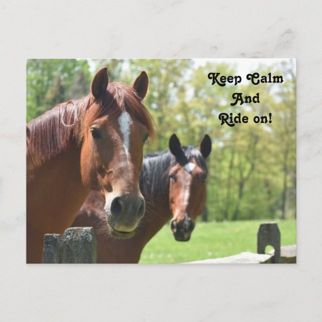 Horse back riding postcard (Front)