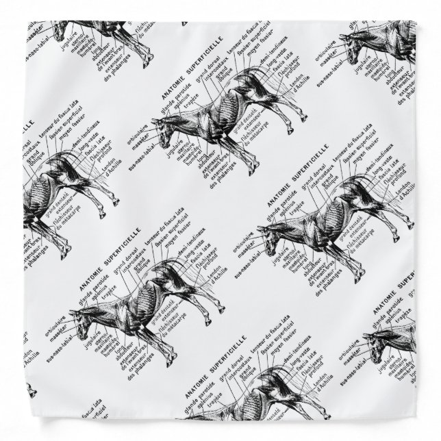 Horse Bandana (Front)