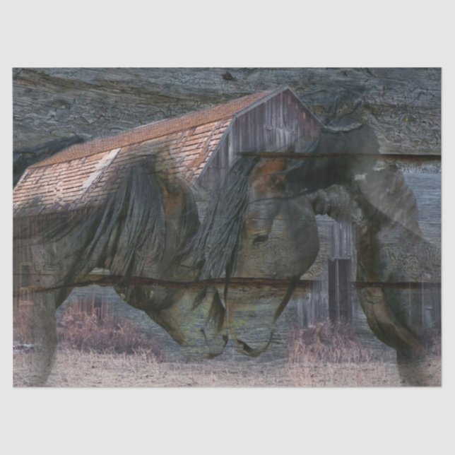 Horse Barn Spirit Tissue Paper (Front)