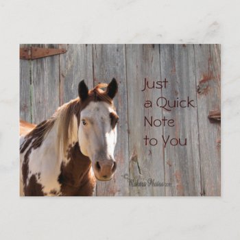 Horse & Barnwood Postcard- Cutomize Postcard by MakaraPhotos at Zazzle