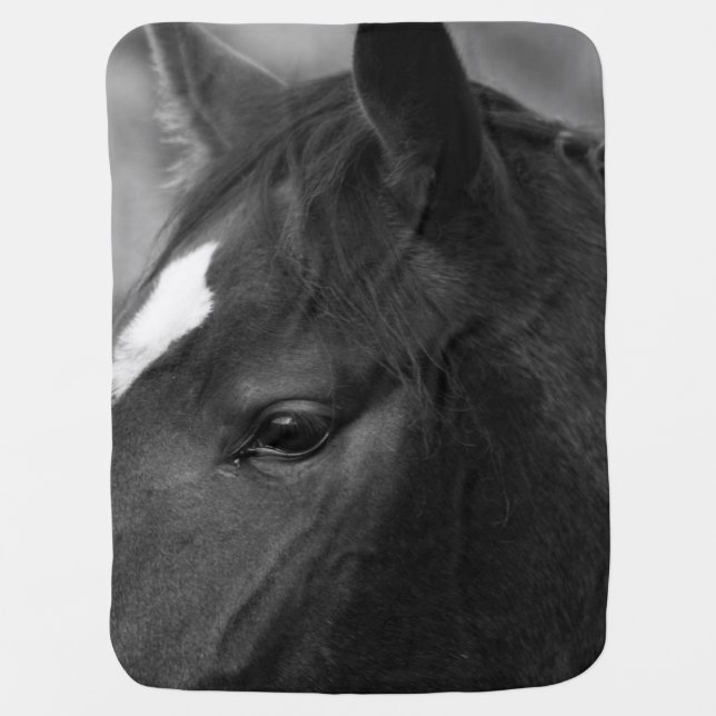 Horse bbcna baby blanket (Front)