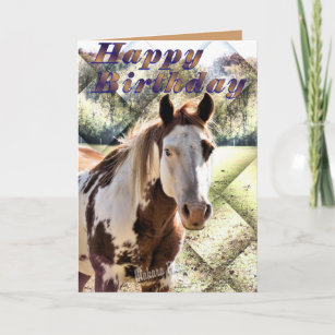 Happy-Birthday-Wiches-Anniversaire-cheval.jpg 