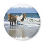 Horse Beach Magnet