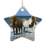 Horse Beach Ornament