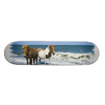 Horse Beach Skateboard