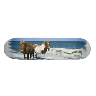 Horse Beach Skateboard