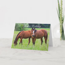 Horse beautiful custom horses birthday card