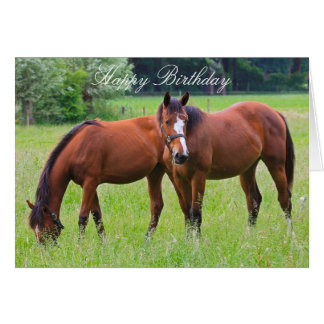 Happy Birthday Horse Cards | Zazzle