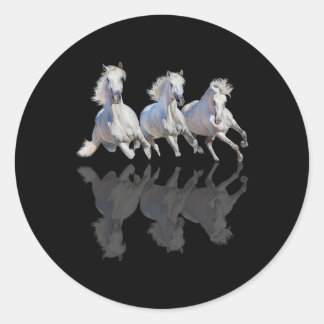 Horse Beautiful mirror mold in galloping horse ri Classic Round Sticker