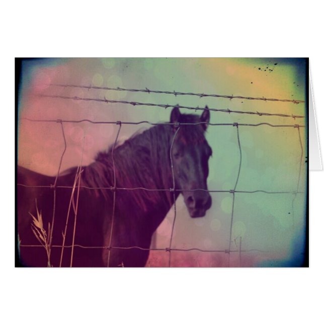 Horse Behind the Fence Cards (Front Horizontal)