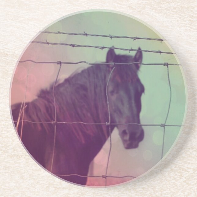 Horse Behind the Fence Drink Coaster (Front)