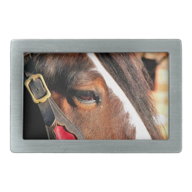 HORSE BELT BUCKLE (Front)