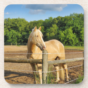 Horse Beverage Coaster