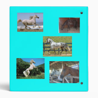 Horse Binder