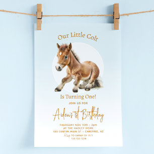 Horse Birthday Boys 1st Invitation