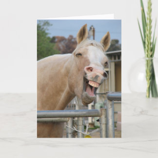 Horse Birthday Card