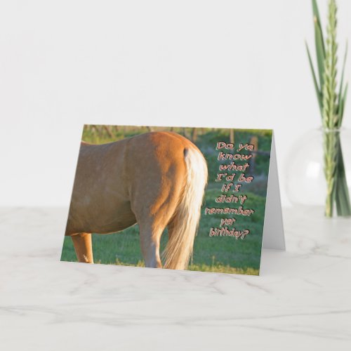 Horse Birthday Card__Funny Mens Card
