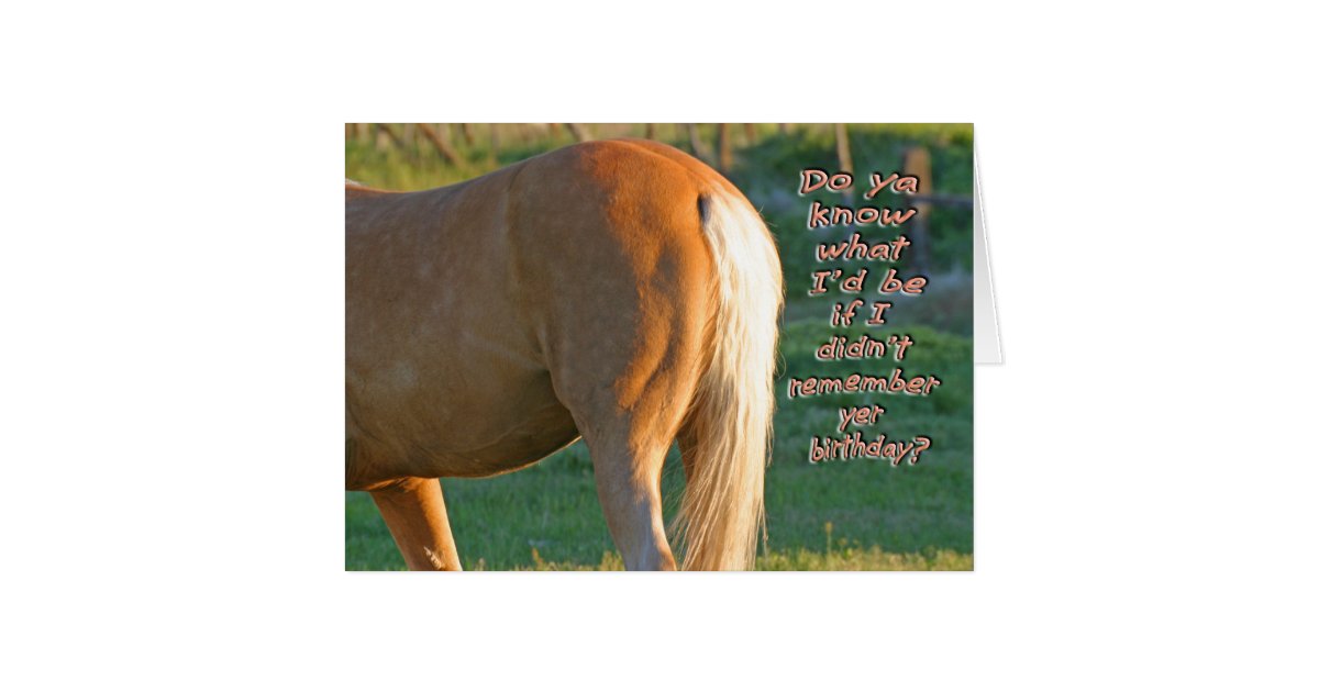 Horse Birthday Card--Funny Men's Card | Zazzle.com