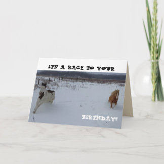Horse Birthday Card with oats?