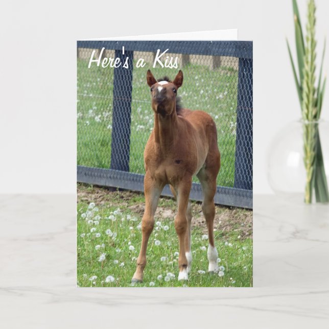 Horse Birthday Kisses Card (Front)